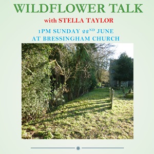 Wildflower talk poster