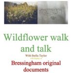 Wild Flower Walk and Talk poster